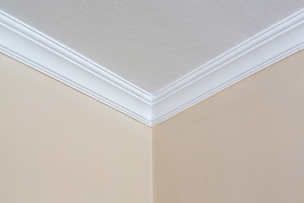 Coving and Cornices